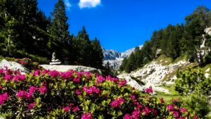 Paisaje en una de las rutas en Andorra la Vella