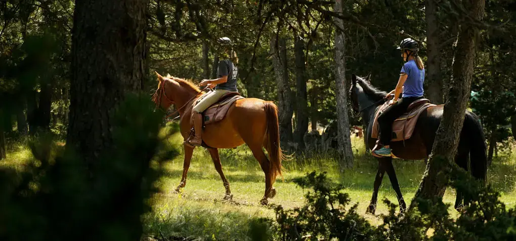 Paseo a caballo en Naturland