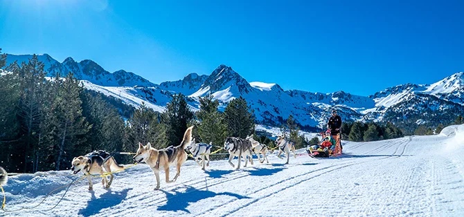 Un grupo de perros tirando de un trineo a través de la nieve durante una actividad de mushing en Andorra.