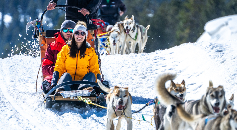 Pareja disfrutando de un romántico paseo en trineo tirado por perros husky en la nieve.